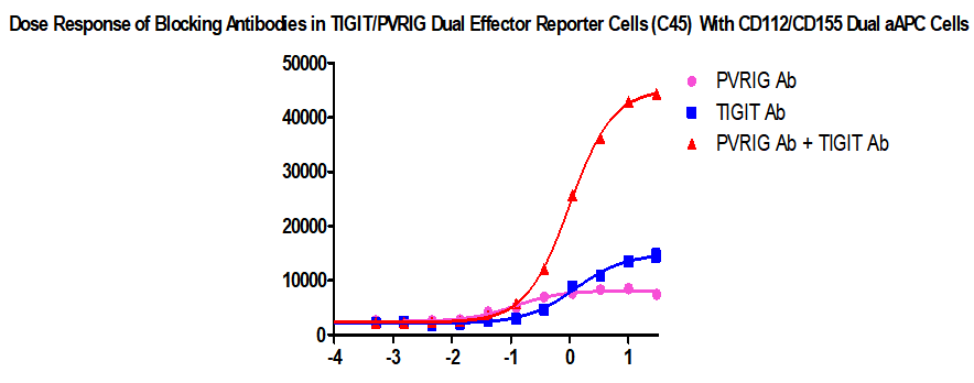 CBP74167、CBP74168.png