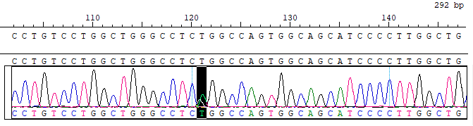 CBPA0049.png CBPA0049.png
