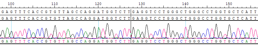 CBP20152D 新 KIF5B-RET #59.png