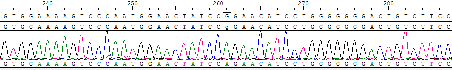 CBP10513.png