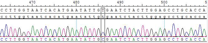 CBP73283-2.png