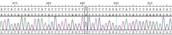 CBP73047-2.png