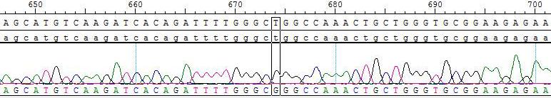 CBP73047-3.png