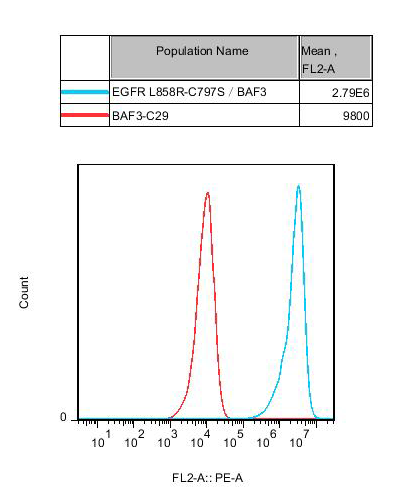 CBP73047-4.png