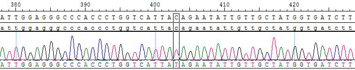 CBP73284-2.png