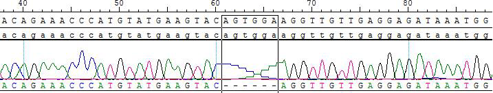 CBP73284-3.png