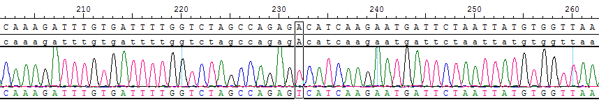 CBP10507.png