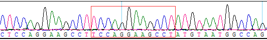 CBP10412.png
