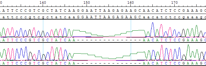 CBP10415.png