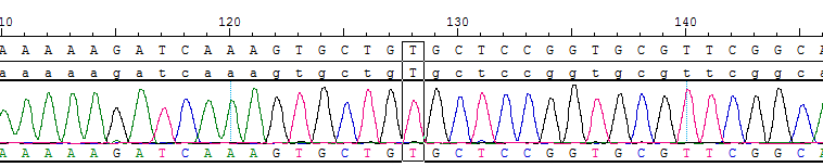 CBP10500.png