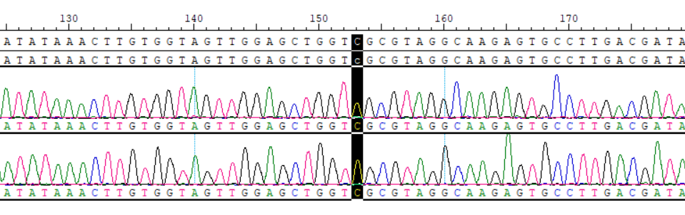 CBP10489.png