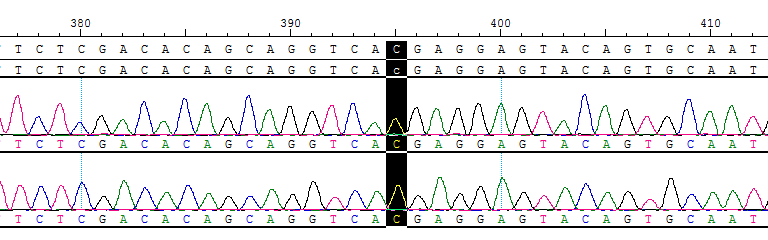 CBP10430.png