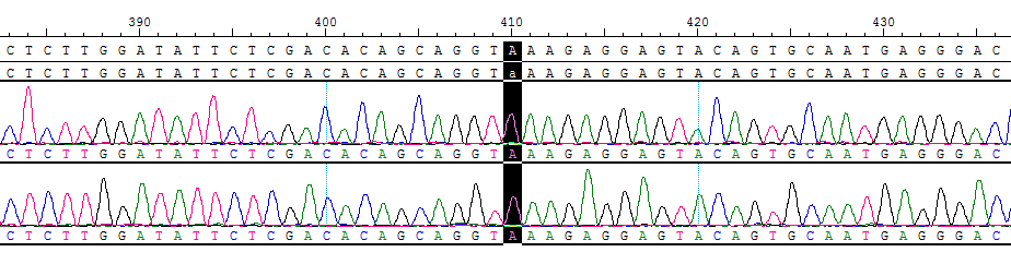 CBP10485.png