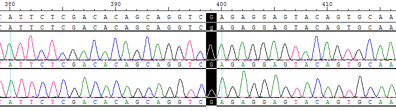 CBP10482.png