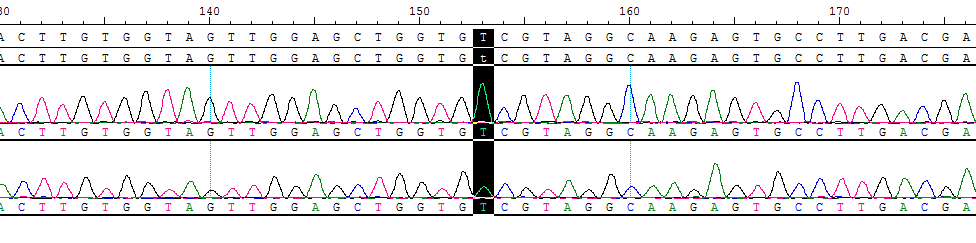 CBP10488.png
