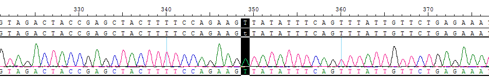 CBP10492.png