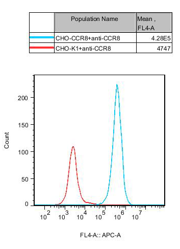 CBP71362 新流式.png