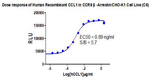 CBP71363.png
