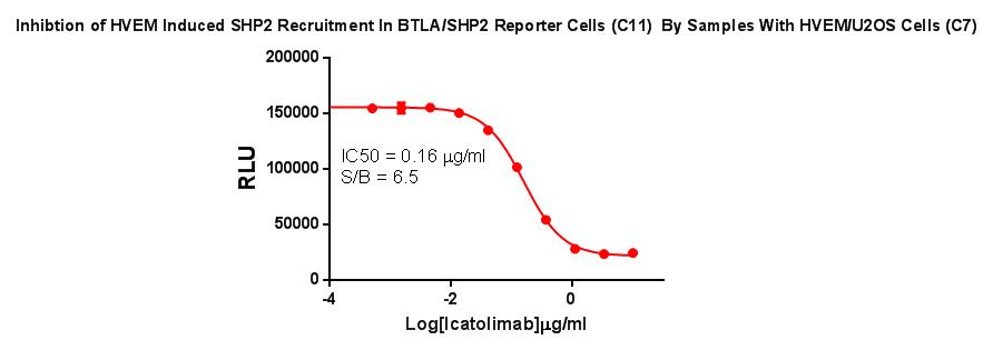 CBP74177.jpg