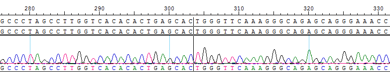 CBP20205D PML-RARA  NB4.png