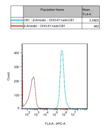 CBP71391 流式.png