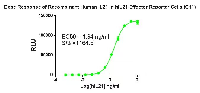 CBP74183 数据图1.jpg