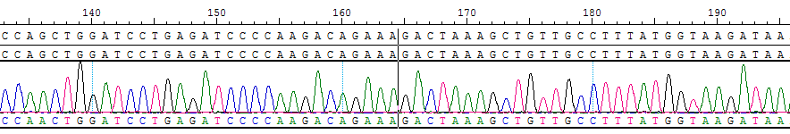 CBP20207R HAP1 BCR-ABL1 fusion.png