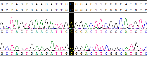 CBP20150R 新 替换.png