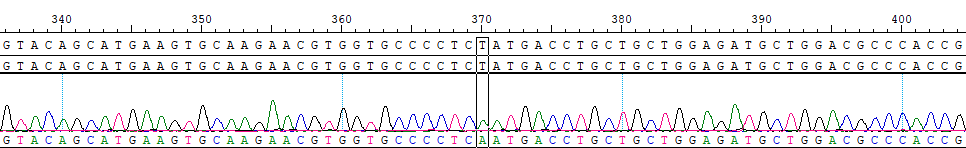 CBP10600 ESR1 Y537N.png