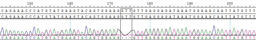 CBP10621 KIT V560Del-C41.png